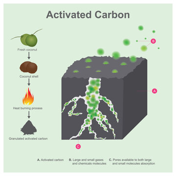 Activated Carbon. After coconut shell burning and grind into small pieces, the results an activated carbon, it have property absorb gases and smell..