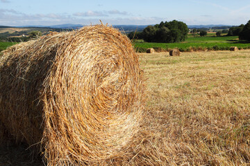 Rural landscape with hay balls on the mown field