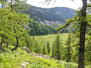 Lac d'Allos dans le parc du Mercantour au mont pelat avec des glacier et des animaux sauvages, randonn&eacute;es et refuges, Alpes de haute Provence, France, montage pic et sommet.