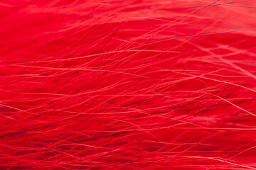 Bright red fur close-up, used as a background or texture. Soft focus