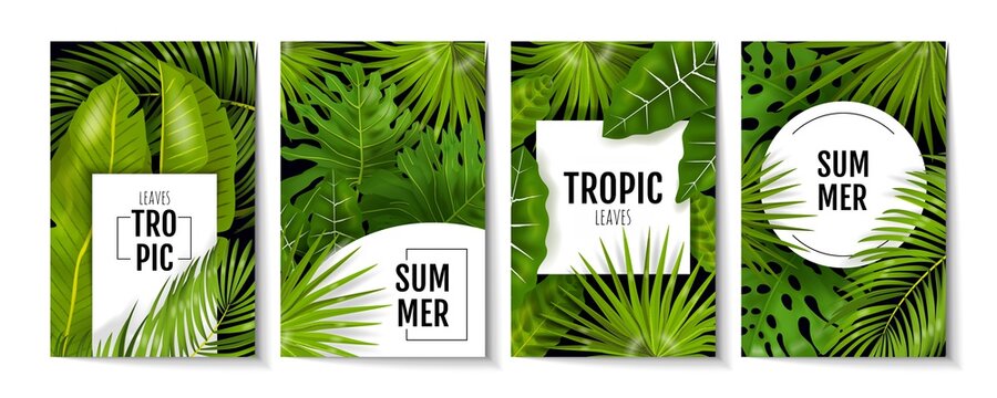 Tropic leaves posters. Exotic greenery and banana palm leaves, greeting cards and invitation flyers with monstera plants. Vector illustration background with green foliage, banner or flyer design