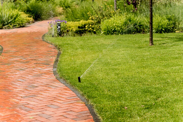 Irrigation system watering garden lawn. Landscape design.