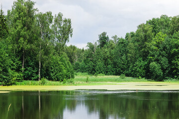 Fototapeta na wymiar Summer landscape, a lake in the forest