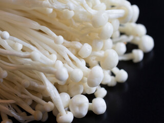 Enokitake or enoki Flammulina velutipes white mushroom on black background close up macro used i food and salads, golden needle mushroom or lily mushroom enokitaki