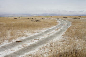Country road in a field with dry grass