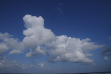 Fototapeta na wymiar Bear in the clouds