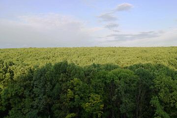 Fototapeta na wymiar Forest and sky, view from above.