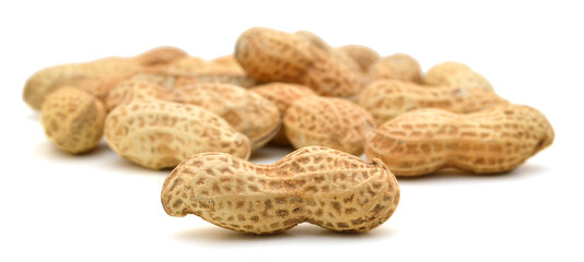 Dried peanuts in closeup