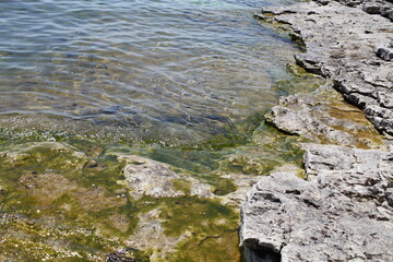 rocks in the water