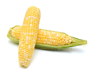 fresh corn fruits with green leaves isolated on white background