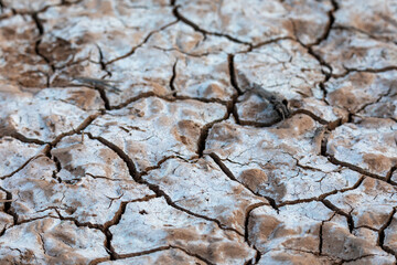 background of a dry river bed in a desert