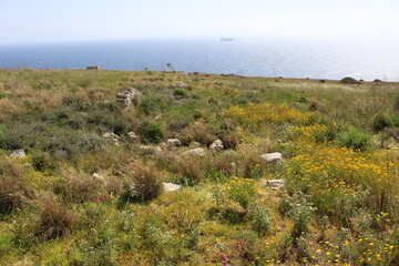 Fototapeta premium Réserve naturelle de Ghar Hanex (Malte)