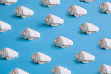 Shell pattern on a blue background. Concept photos for summer clothing or fashion prints for summer.