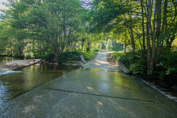 Naturaleza por el Parque de Gorbea, Araba Alava