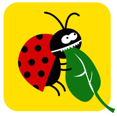 life of insects. hungry beetle eats a green leaf. vector drawing for Illustration.