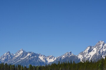 Fototapeta na wymiar Tetons Range framed by green pine tree line and expansive blue sky
