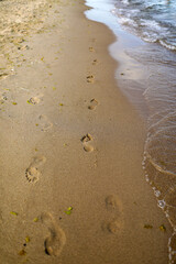 footprints  on a sandy seashore