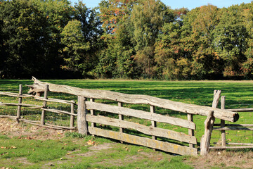 wooden fence in Bokrijk, Belgium