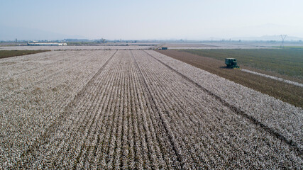 Aerial image of a vast Cotton field showing