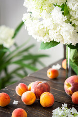 Vase of flowers viburnum opulus Roseum and ripe juicy apricots and peaches