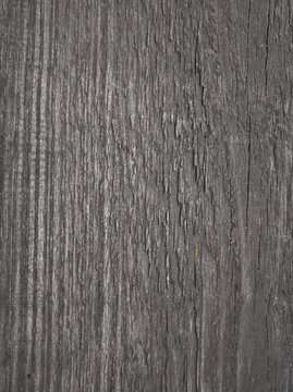 texture wood