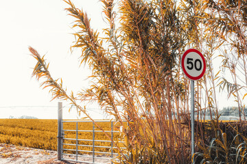 A colorful minimalistic shot with a red and white speed limit road sign 