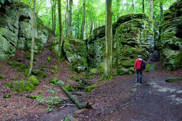Ein Wanderer wandert durch die Teufelsschlucht in der Südeifel in Rheinland Pfalz - 
A hiker walks...