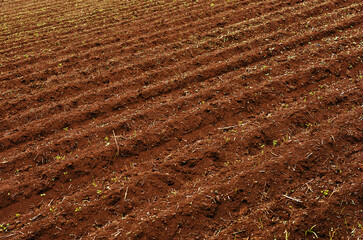Background image of a plowed field