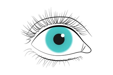 Human eye icon. Black line vector eye illustration isolated on white background.
