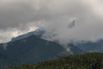 Wolken hägen in den Bergen mit Bergwald