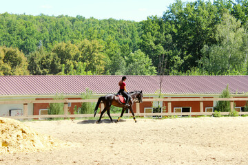 Horse and rider outdoors, horizontal view. People, animals, dressage concept.