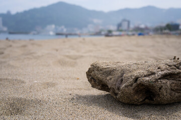 素材としても使用可能な、夏を感じる砂浜と流木