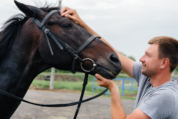 A young man stands and looks at a thoroughbred stallion on the ranch. Animal husbandry and breeding of thoroughbred horses