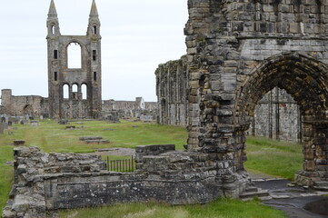 St Andrews Castle, Fife, in its Covid-19 unmown wildflower meadow setting