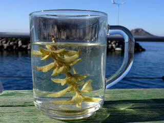 A glass of organic sage tea on a cold sunny winter day, in a cafe in the Aegean coastal town Yalikavak, Bodrum.