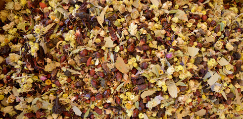 organic herbs and winter tea