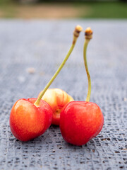 Cherry berries close-up on ttable on gray background. Sweet cherry with leaves. Plastic jar with fruits