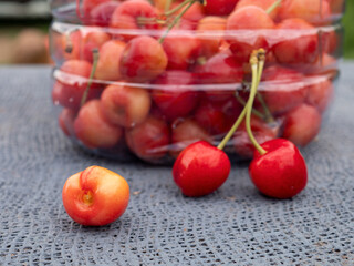Cherry berries close-up on ttable on gray background. Sweet cherry with leaves. Plastic jar with fruits