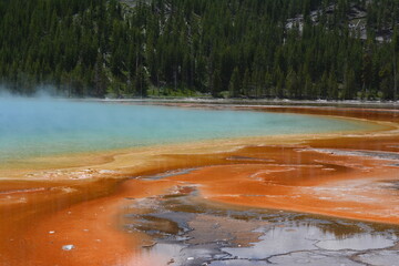 close-up of grand prismatic spring yellowstone mineral and bacteria hot spring phenomenon