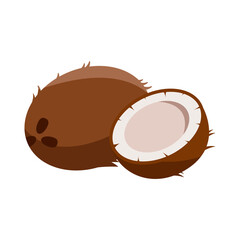 Coconut isolated on white background. Coconut flat icon.