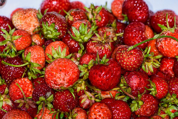 Erdbeeren, frisch, eigene Ernte, gesund, strawberry, garten, selbstversorger, lecker