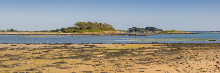 Fototapeta na wymiar Brittany, panorama of the Morbihan gulf, view from the Ile aux Moines island, low tide 