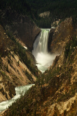 Obraz premium Yellowstone Falls