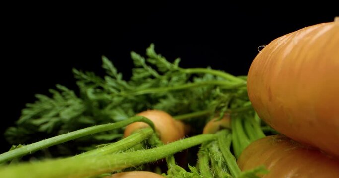 carrots close up