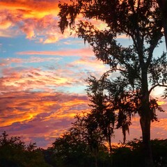 Fototapeta na wymiar Red Sunset over the marsh in Charleston South Carolina