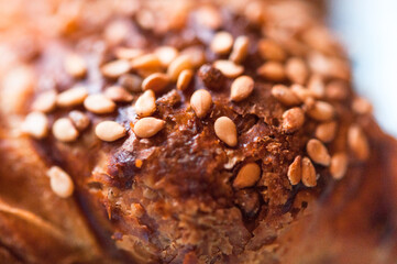 golden roasted sesame seeds on crispy challah bread closeup
