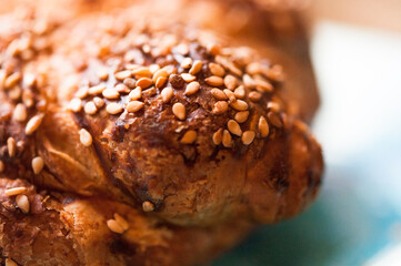golden roasted sesame seeds on crispy challah bread closeup