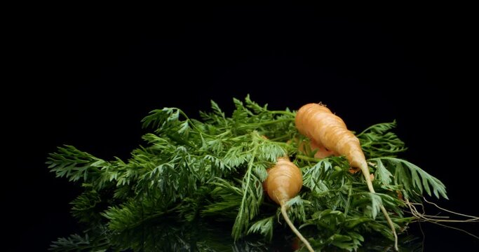 carrots close up