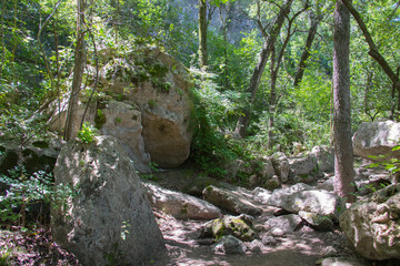 a hiking path through a creek that shows at times water is a destructive force