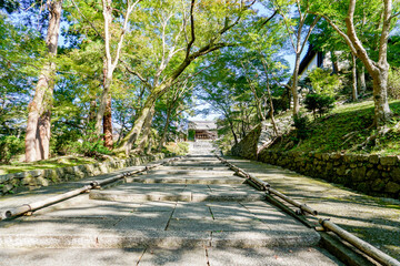 Fototapeta premium 毘沙門堂門跡